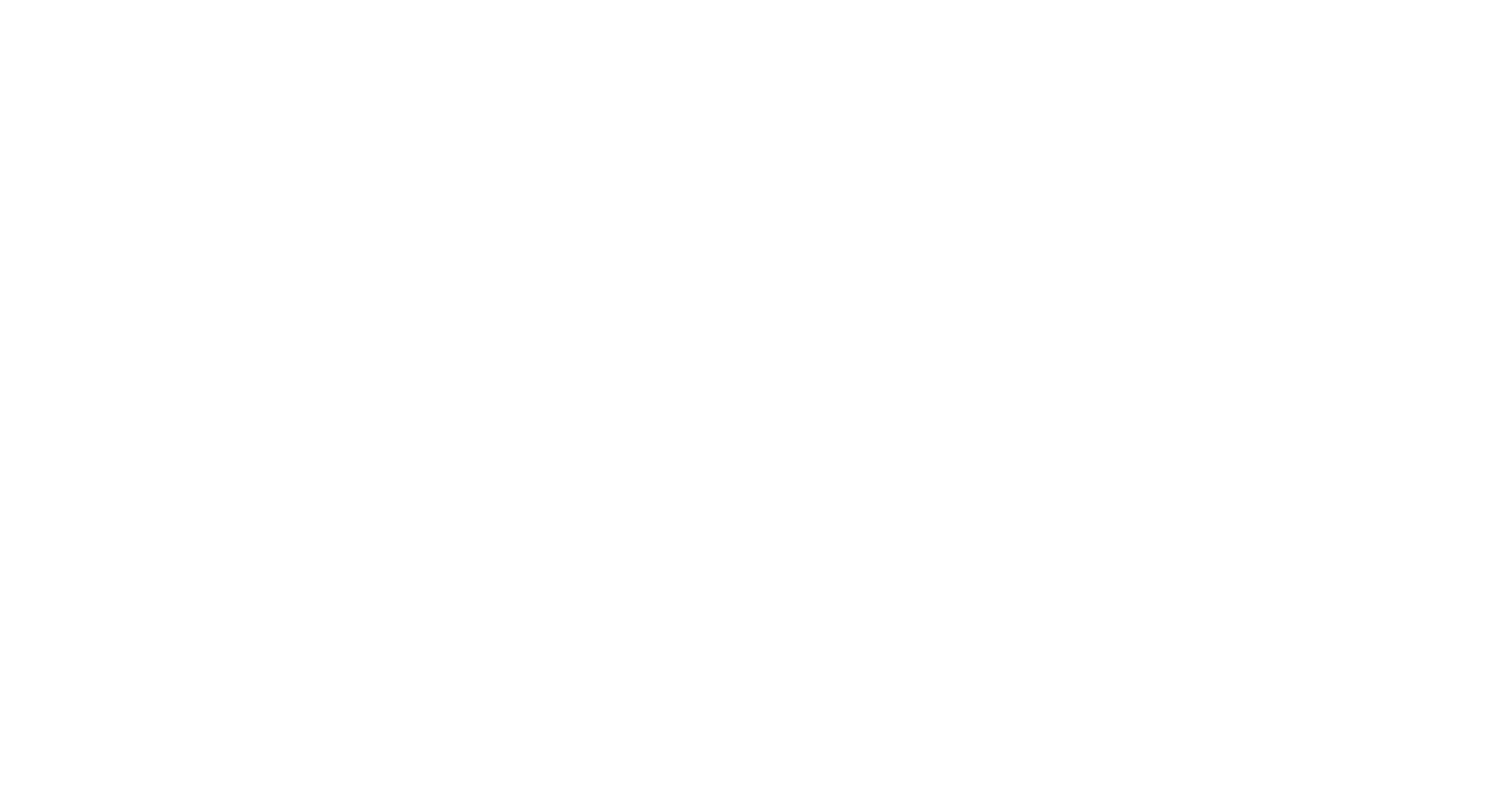 Villars Institute