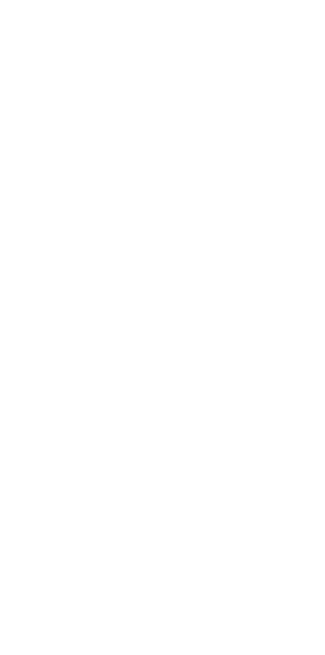UNDP